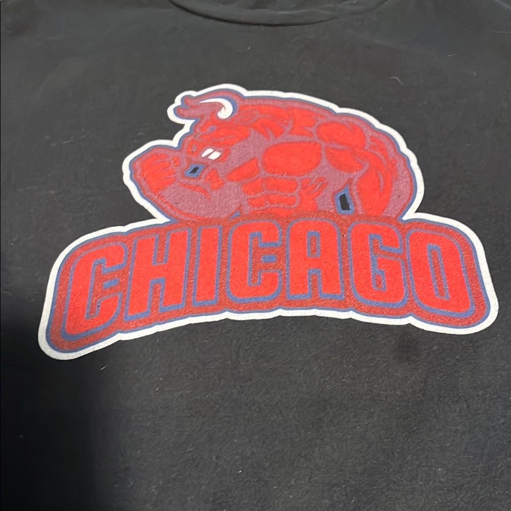 Chicago Bulls Black Sweatshirt